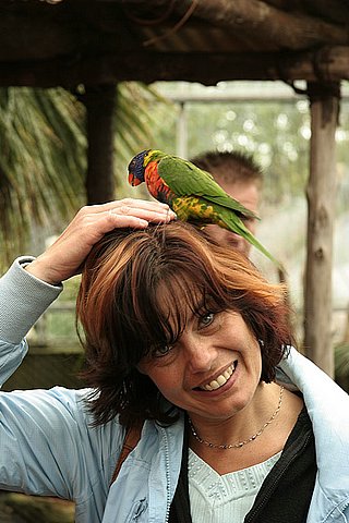 2005 Avifauna (29)